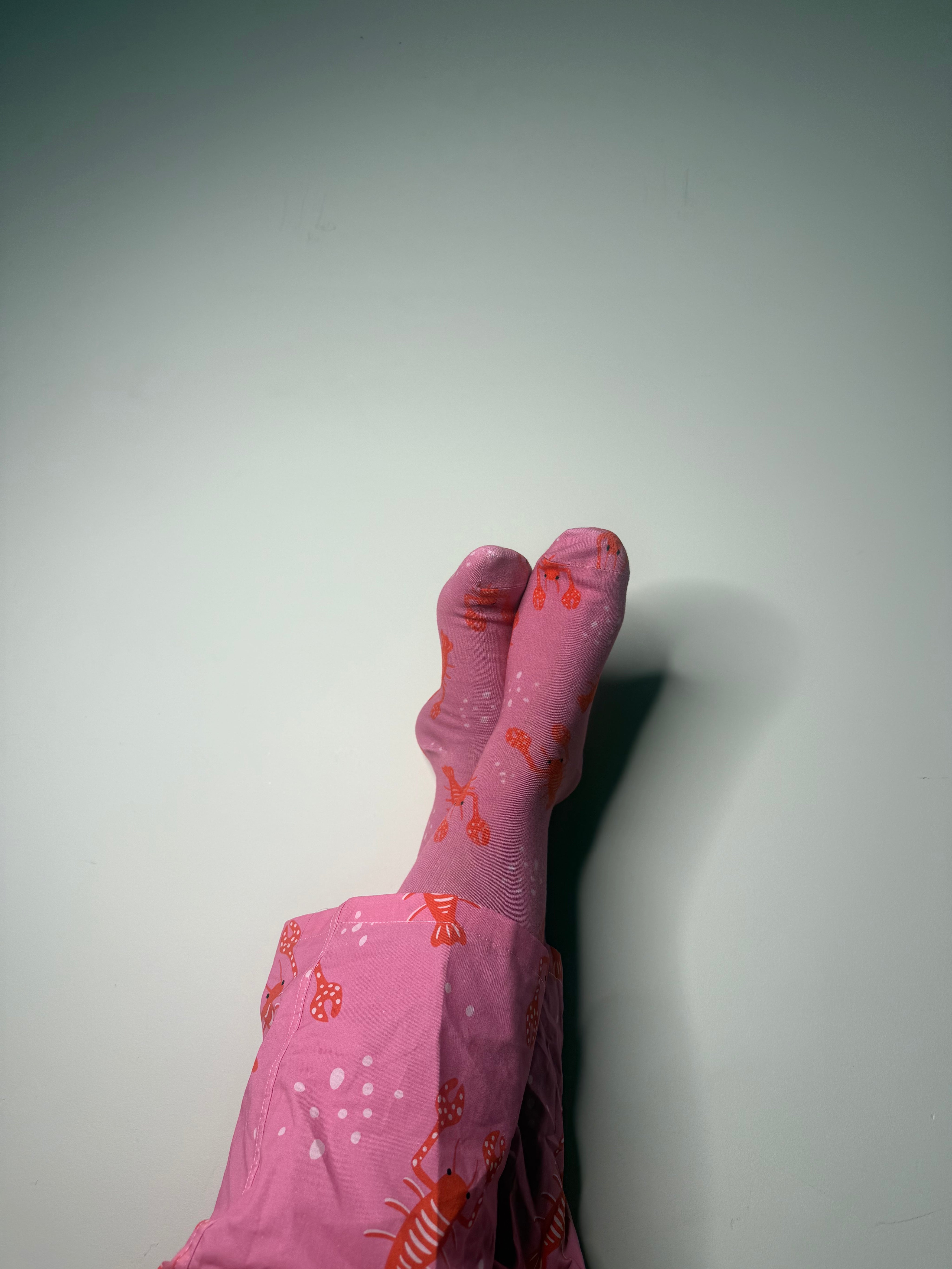 LOBSTER LOVE SOCKS
