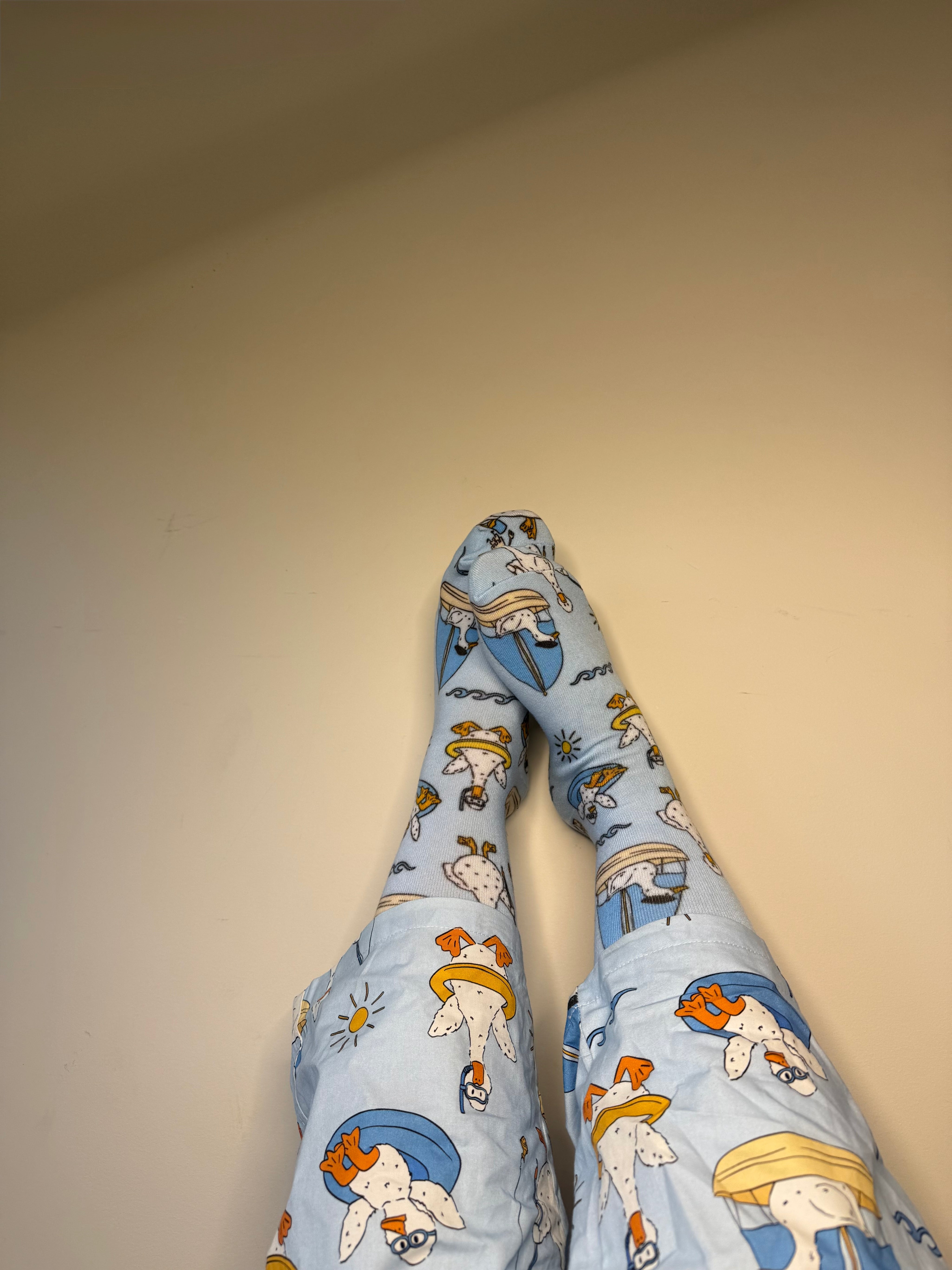 SUMMER DUCKS SOCKS