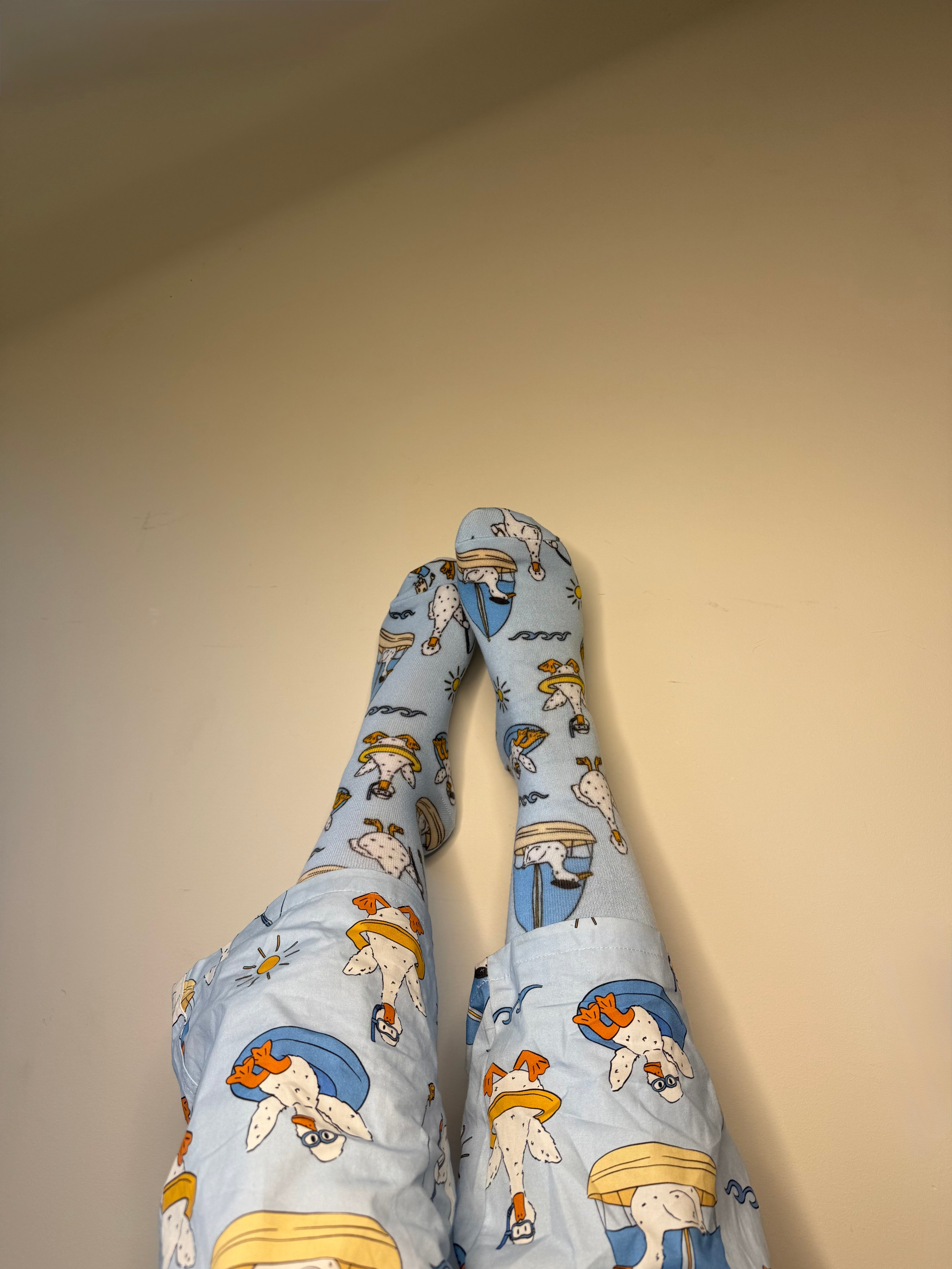 SUMMER DUCKS SOCKS
